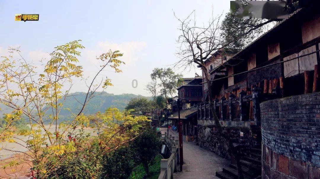 冷知识分享平台-学历低只有初中学历,有点看不起自己怎么办?应聘都说自己是大专,让你拓宽知识视野